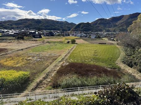 晩秋の長野県塩尻市 塩尻市,長野県,信州の写真素材