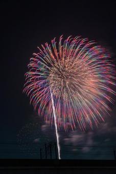 夜空に咲く大輪の七色花火 花火,夜空,打ち上げ花火の写真素材