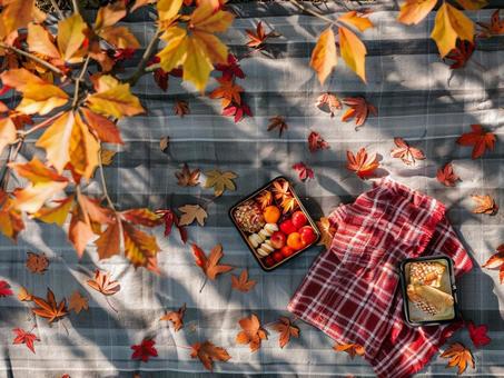 紅葉とお弁当ピクニック 紅葉とお弁当ピクニックの写真