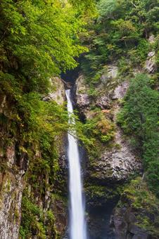 根尾の滝 秋( 飛騨小坂) 根尾の滝 秋( 飛騨小坂) 根尾の滝,渓流,渓谷の写真素材