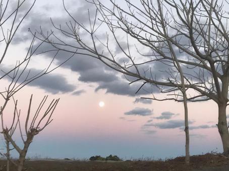 朝焼け 朝焼けの写真