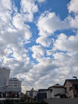 晴れと曇 青空,曇,空の写真素材