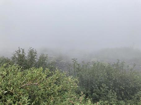 雲海の中 雲海の中 自然のまま,グリーン,雲海の写真素材