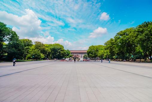 【東京】上野国立博物館 2025 【東京】上野国立博物館 2025 上野公園,公園,国立博物館の写真素材