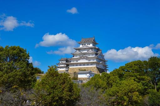 そびえる姫路城の天守閣 そびえる姫路城の天守閣 姫路城,天守閣,建物の写真素材