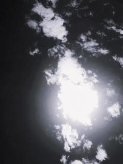 太陽 太陽の写真