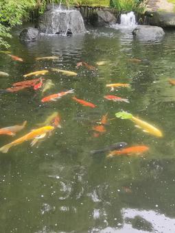 風景 風景の写真