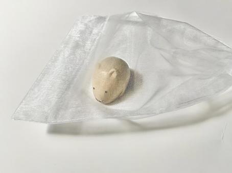袋の中のねずみ 袋の中のねずみの写真