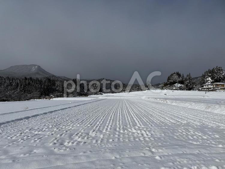 雪が降って積もった田んぼの田園風景 田んぼ,田,積雪の写真素材