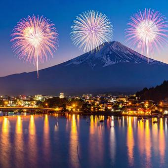 花火を見る 花火を見るの写真