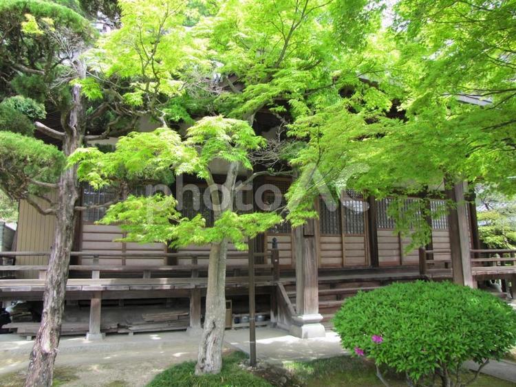 【風景写真】観音寺(広島県三原市)の風景 観音寺,時宗,寺社仏閣の写真素材