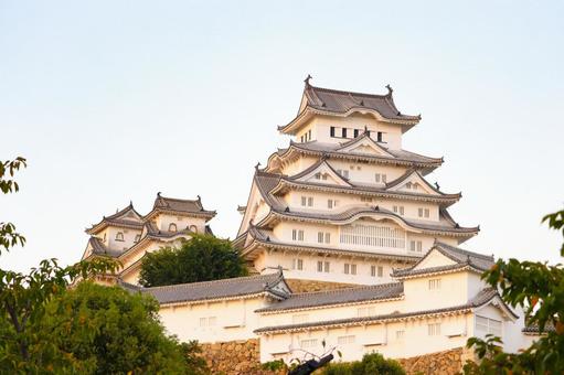 夕方の姫路城 夕方の姫路城 姫路城,姫路市,兵庫県の写真素材