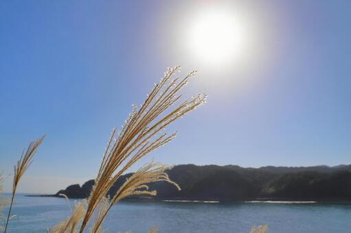 すすき　青空　太陽　海　山地 すすき,穂,空の写真素材