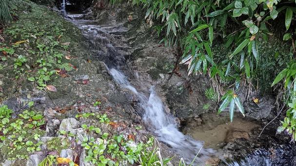 枝折峠途中にある小さな滝と小川 滝,小川,風景の写真素材