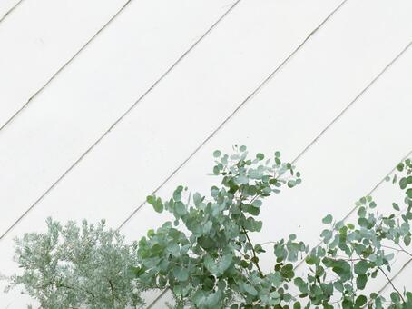 背景材料·樹, JPG 背景材料·樹, JPG