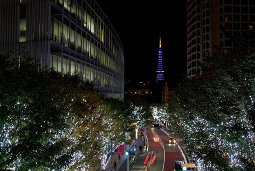 東京タワー<夜景2> 東京タワー<夜景2>の写真