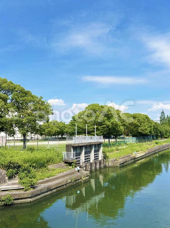 公園の川にある水門と青空 水門,空模様,空の写真素材