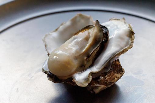 牡蠣 牡蠣,カキ,オイスターの写真素材