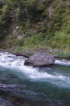 多摩川 多摩川,川,川岸の写真素材