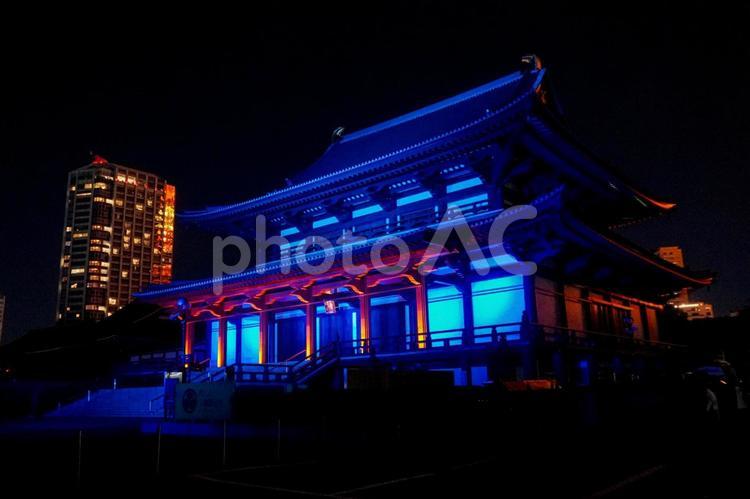ライトアップされた港区の増上寺の風景 増上寺,観光,文化財の写真素材