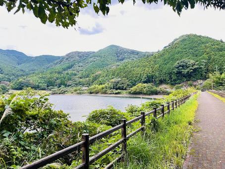 呉ダム湖　秋の公園 秋,呉ダム渓流公園,公園の写真素材