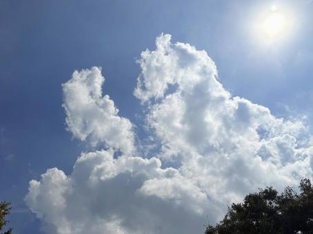 夏空に浮かぶ白い雲の写真