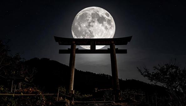満月と鳥居 満月と鳥居の写真