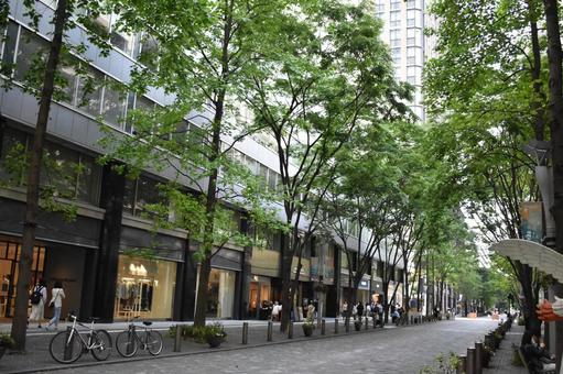 都会の街並み 都会,街並み,東京の写真素材