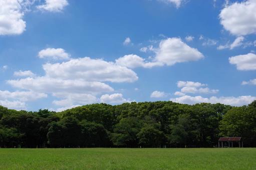 夏の公園の風景 夏の公園の風景 公園,風景,夏の写真素材