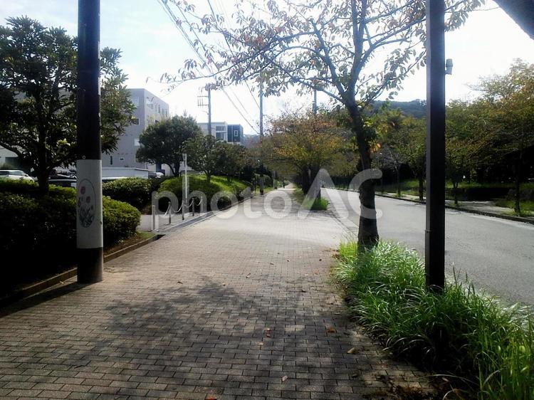 通りの風景　[横須賀市] 通り,風景,景色の写真素材