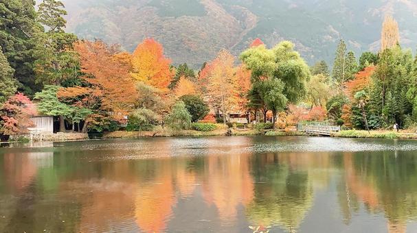 紅葉と湖 紅葉,秋,山の写真素材