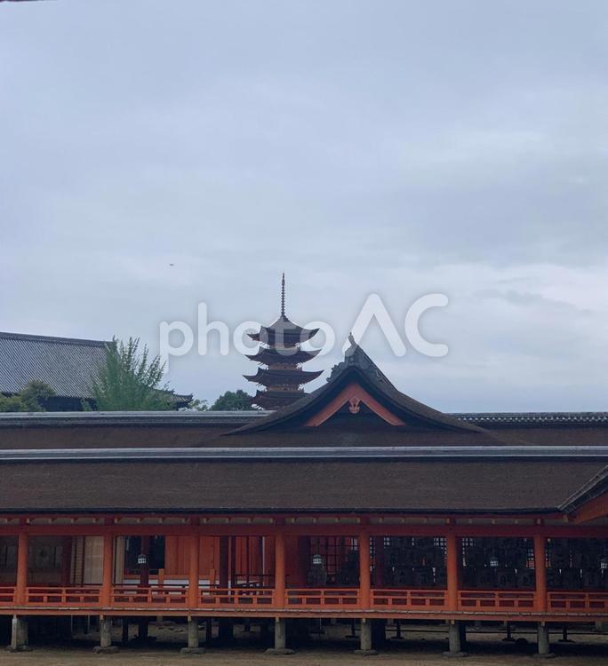 厳島神社と五重塔 宮島,広島,厳島神社の写真素材