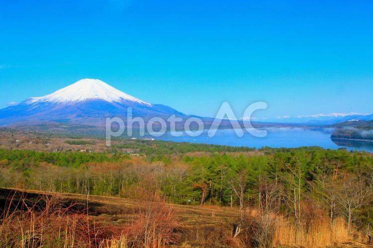 早朝の富士山と山中湖の雲海 富士山,山中湖,雲海の写真素材
