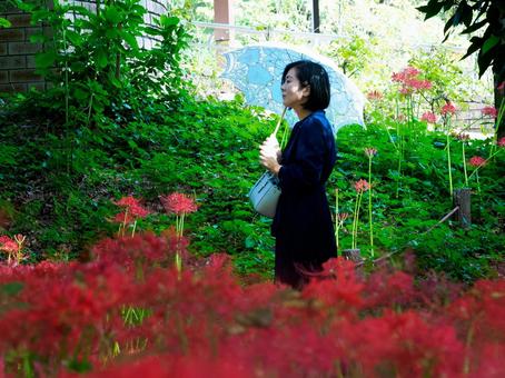 40:彼岸花を静かに眺める女性 40:彼岸花を静かに眺める女性 彼岸花,ミステリアス,悲しげの写真素材