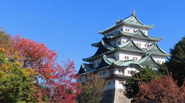名古屋城　天守　紅葉 名古屋城,尾張徳川家,御三家の写真素材