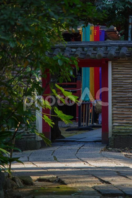 東京赤坂にある氷川神社の境内 境内,氷川神社,自然の写真素材