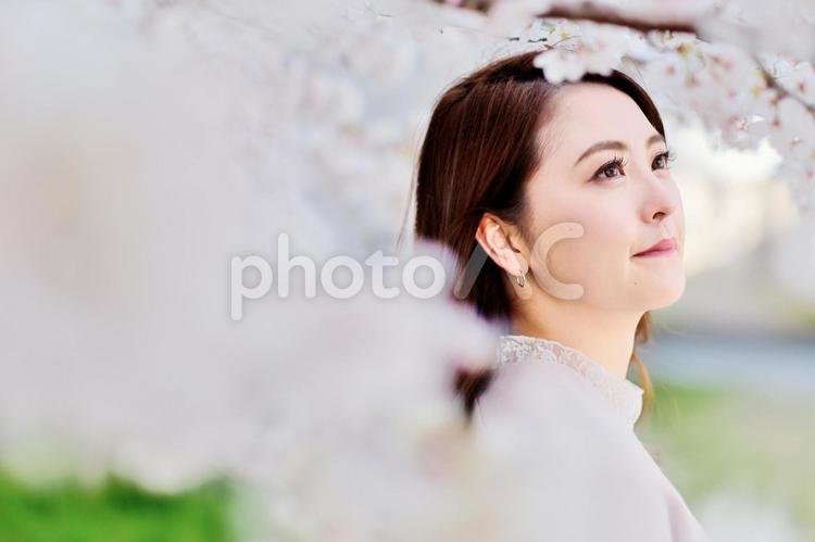 桜と派手目なメークの日本人女性19 女性,日本人,アジア人の写真素材