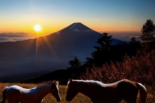 初日の出の牧場に親子の馬 新年,富士山,初日の出の写真素材