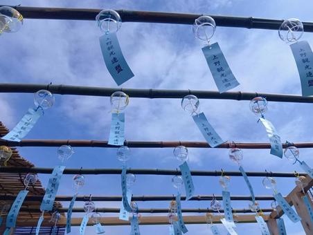 Photo, ueno, ueno park, shinobazu pond, 