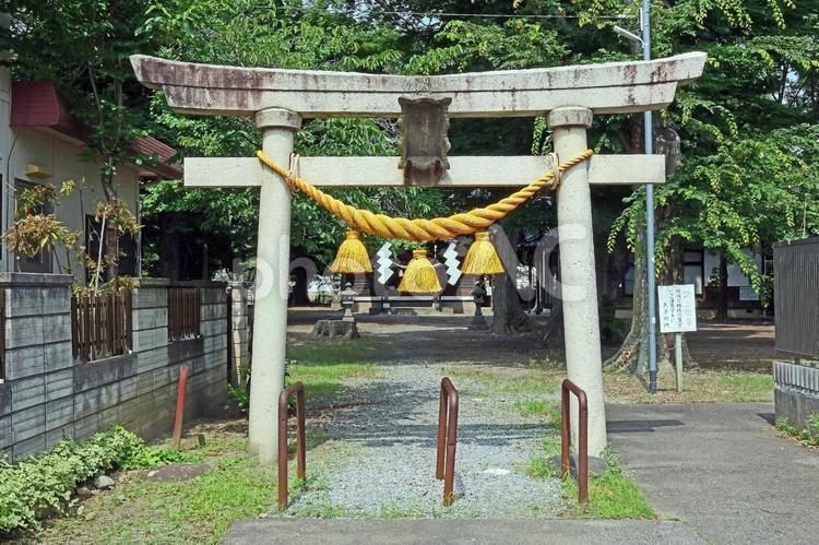 高宮諏訪天満社（松本） 高宮諏訪天満社,氏神,健南方富神の写真素材