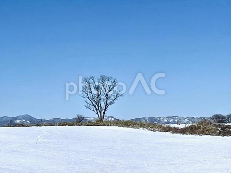北海道の風景　16141 北海道の風景,北海道,冬の写真素材