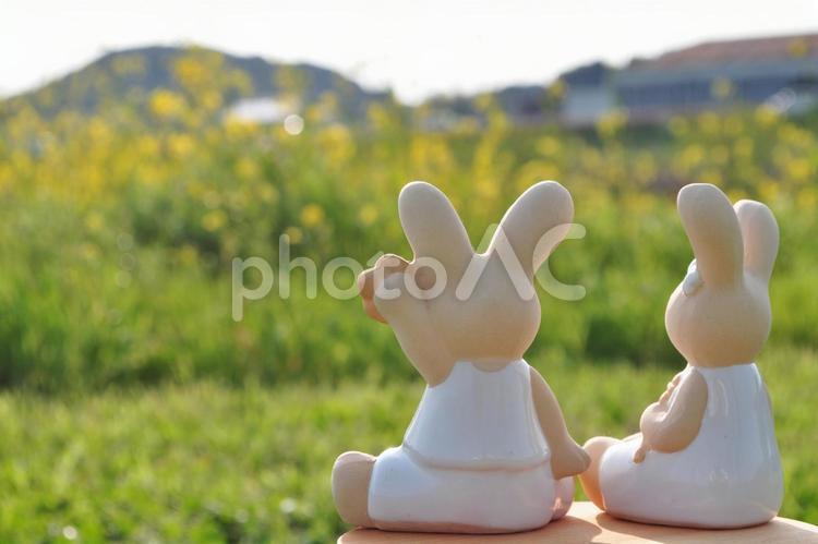 クレイアートうさぎ カップル,デート,うさぎの写真素材