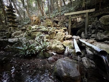 森の奥の祠と湧水 森の奥の祠と湧水 祠,神社,森の写真素材