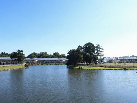 軽井沢 大きな池 軽井沢 大きな池 軽井沢,池,湖の写真素材