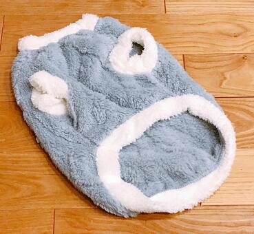 ペット衣類 ペット衣類,犬,服の写真素材