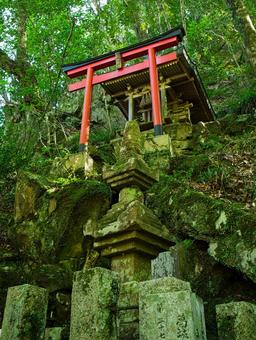 森の中の鳥居 森の中の鳥居の写真