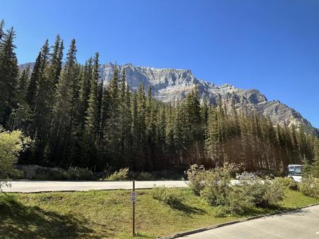 山 山,木,自然の写真素材