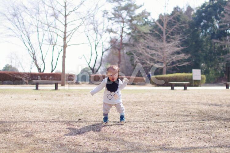 よちよち 子供,男の子,1歳の写真素材