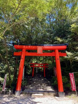 紅の鳥居 鳥居,風景,景色の写真素材
