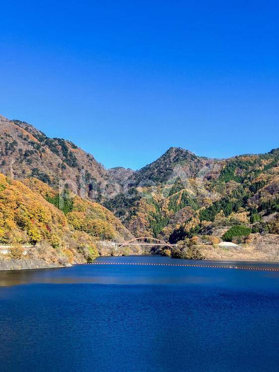 荒川ダム・能泉湖（山梨県） 能泉湖,湖,ダム湖の写真素材